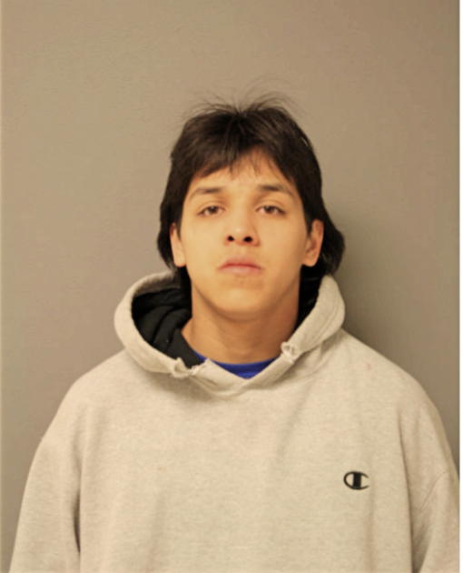 ALBERT G SANDOVAL, Cook County, Illinois