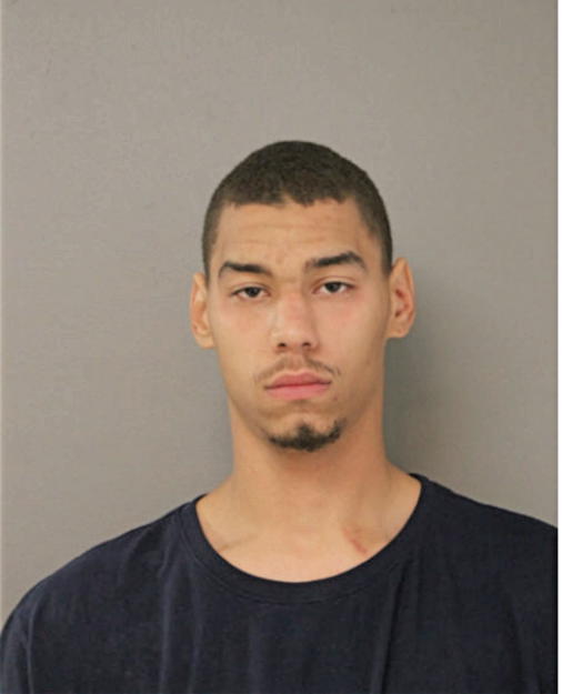 STEPHEN D SAPP, Cook County, Illinois