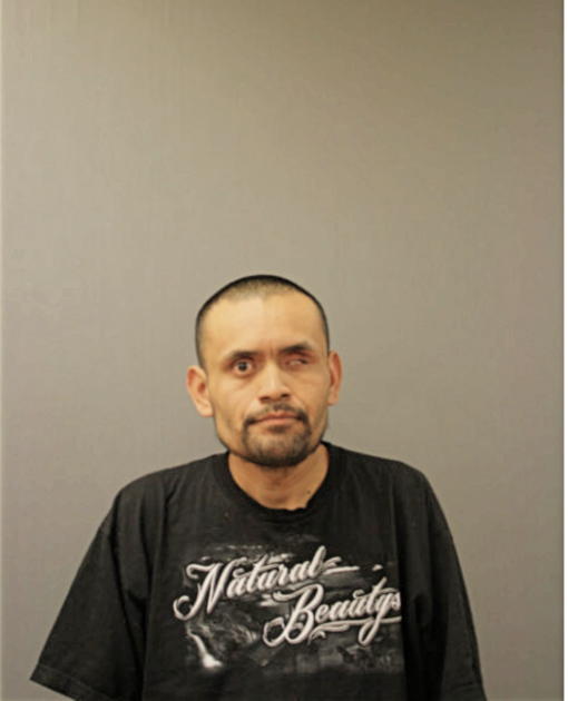 DAVID SOTELO, Cook County, Illinois