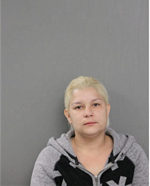 NOEMI TORRES, Cook County, Illinois