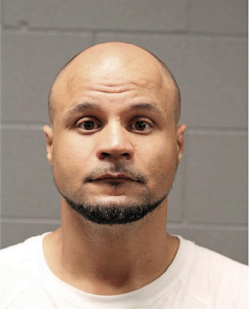 JAMES T ANDERSON, Cook County, Illinois