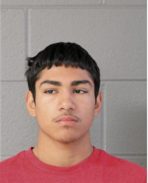 RAFAEL BAEZ, Cook County, Illinois