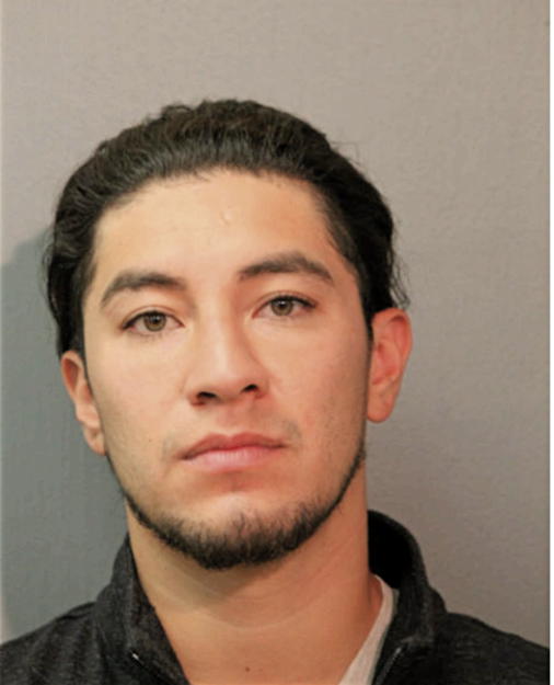 ERWIN CRUZ, Cook County, Illinois