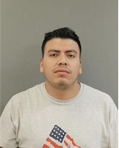 ERNESTO DOMINGUEZ, Cook County, Illinois