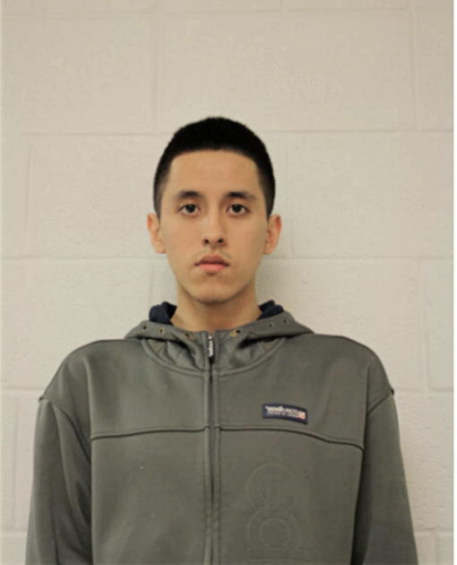 HECTOR DAVID FAVELA, Cook County, Illinois