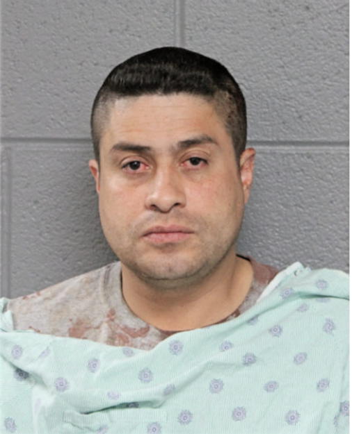 JUAN P GARCIA, Cook County, Illinois