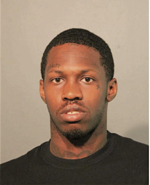 TRISTIAN T HAMPTON, Cook County, Illinois
