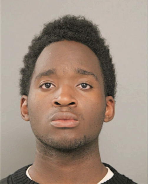 DAMIAN D LINDSEY, Cook County, Illinois