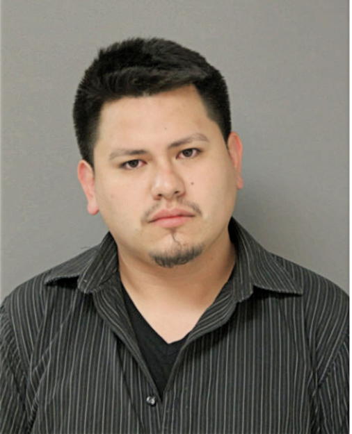 FADUL A MARTINEZ, Cook County, Illinois