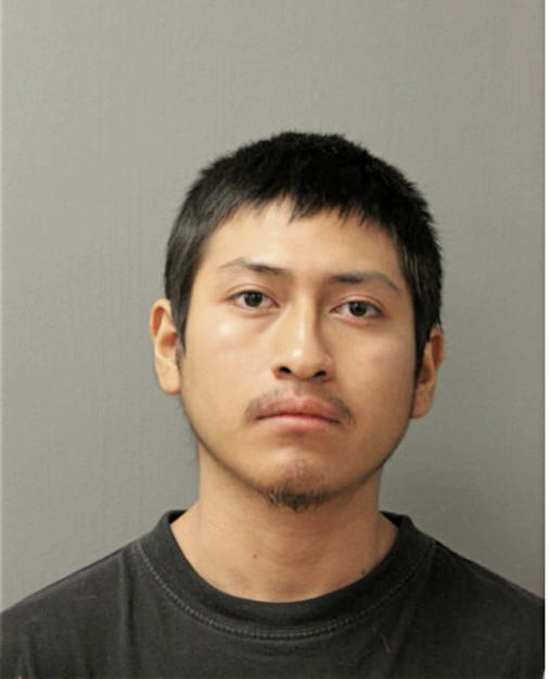LUIS E MIRANDA, Cook County, Illinois