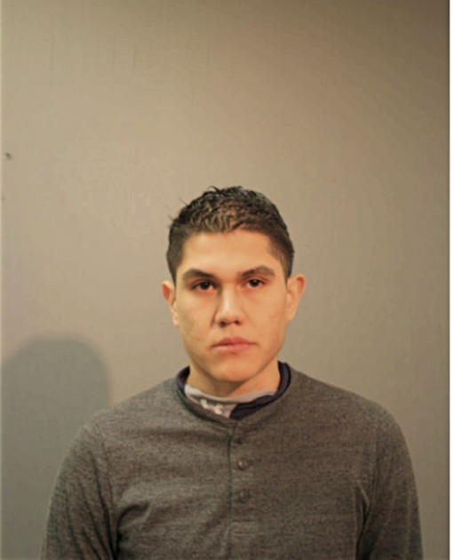 ANTONIO J MORALES, Cook County, Illinois