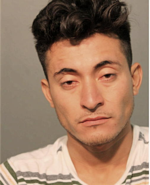 ABNER I MORALES-MARTINEZ, Cook County, Illinois