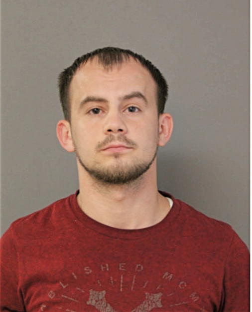 ADIS MUSTAFIC, Cook County, Illinois