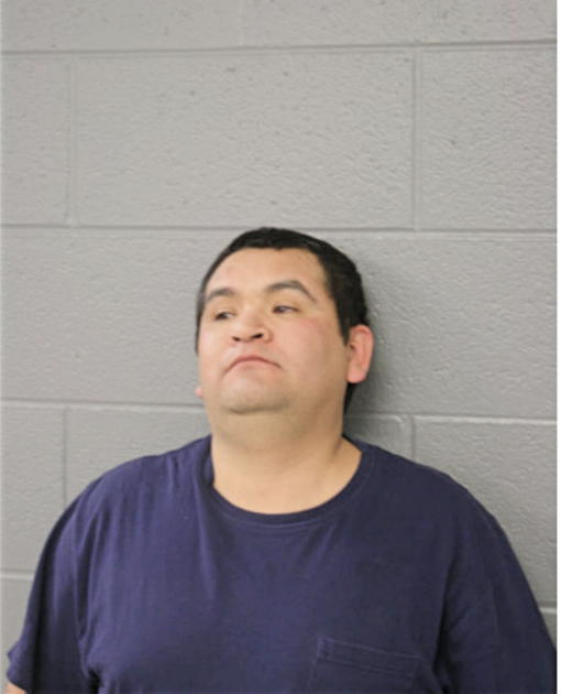 HOMERO ORTEGA, Cook County, Illinois
