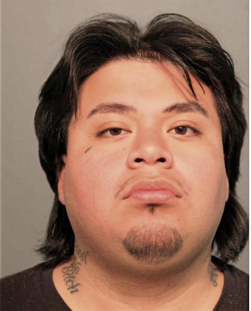 PEDRO OCAMPO PINEDA, Cook County, Illinois
