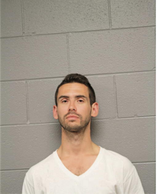 DEREK E REPSCH, Cook County, Illinois