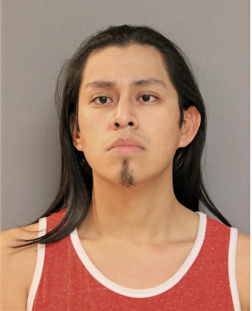ALEJANDRO ROMAN, Cook County, Illinois