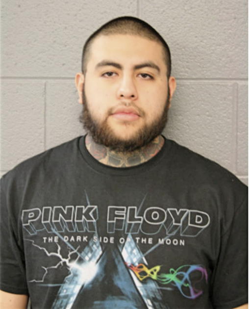 ELIAS ROMAN, Cook County, Illinois