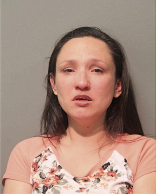 DESIREE M ROSAS, Cook County, Illinois