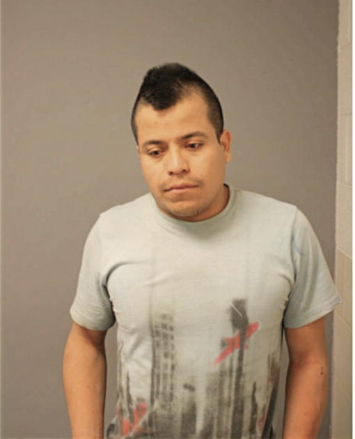 RICARDO SANCHEZ, Cook County, Illinois
