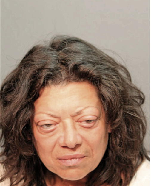 ANNA L SCHMIDT, Cook County, Illinois