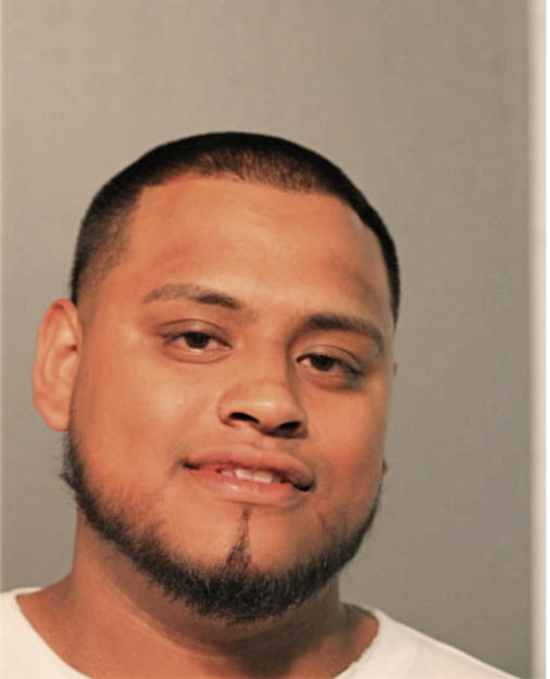 REY SOTELO, Cook County, Illinois