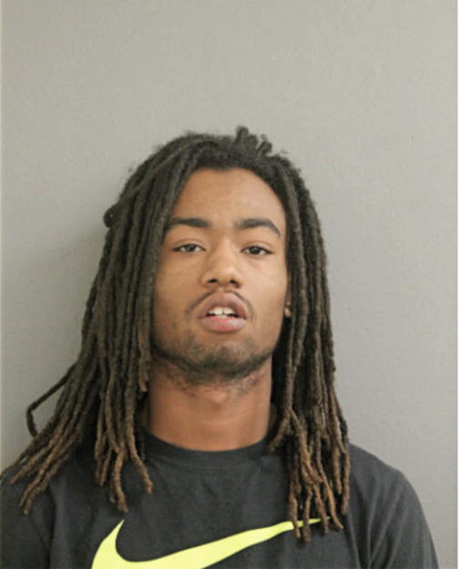 TERRELL B THOMPSON, Cook County, Illinois