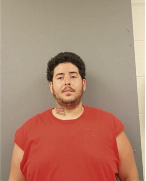 VICTOR L VILLALOBOS, Cook County, Illinois