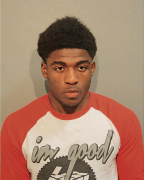 JAMES T WADE-MCGEE, Cook County, Illinois
