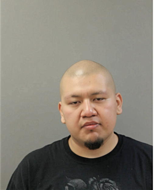JESSE ARROYO, Cook County, Illinois