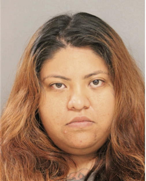 NOEMI E CERVANTES, Cook County, Illinois