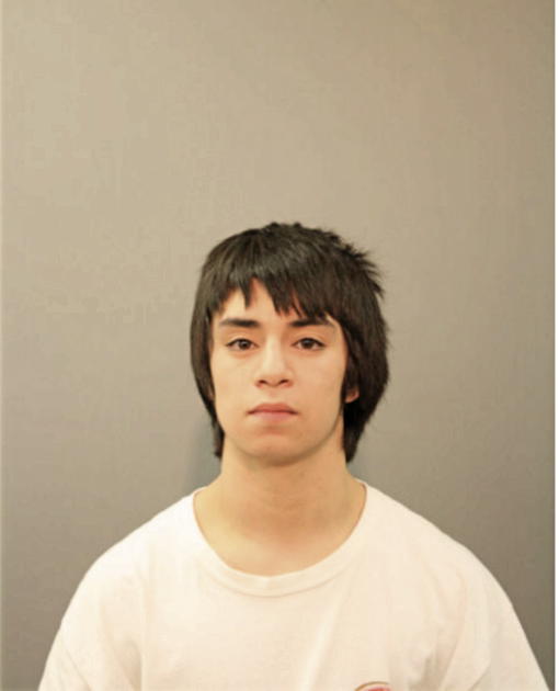 CHRISTIAN DIAZ, Cook County, Illinois