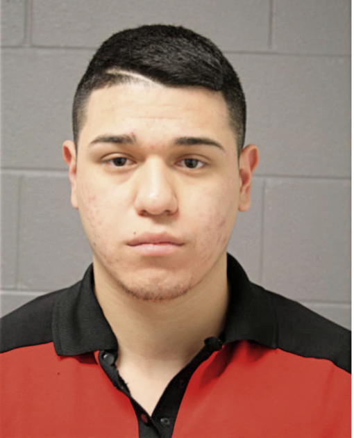 THOMAS E ESTRADA, Cook County, Illinois
