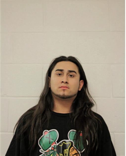 ENRIQUE FLORES, Cook County, Illinois