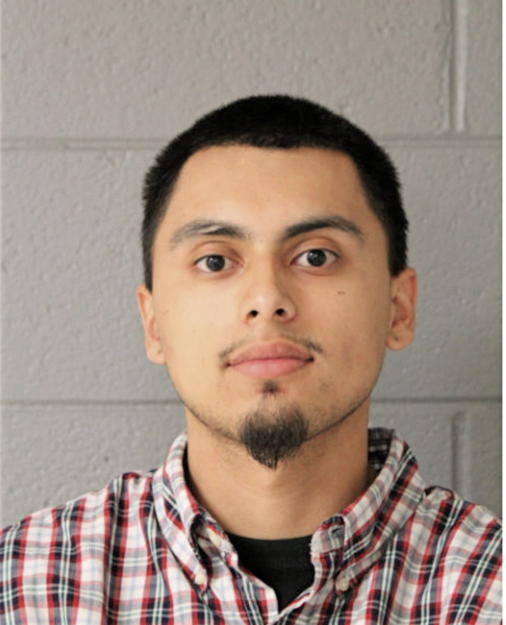 RICHARD M FLORES, Cook County, Illinois