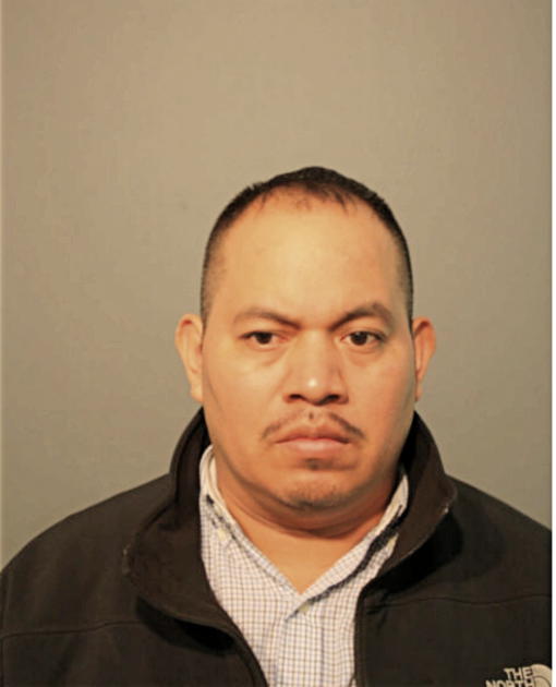 SERAFIN E FLORES, Cook County, Illinois