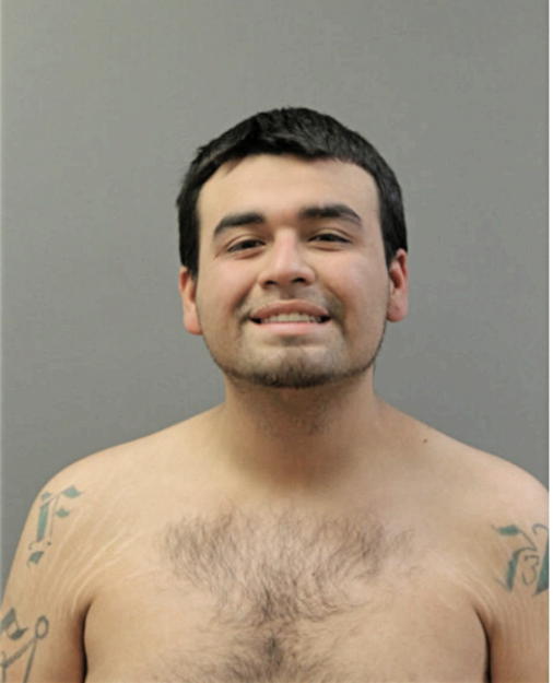 CHRISTIAN GONZALEZ, Cook County, Illinois