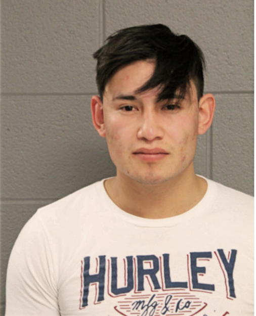 RICARDO PEREZ GONZALEZ, Cook County, Illinois