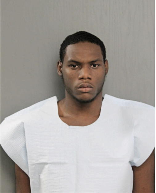 JAMES J HAYDEN, Cook County, Illinois