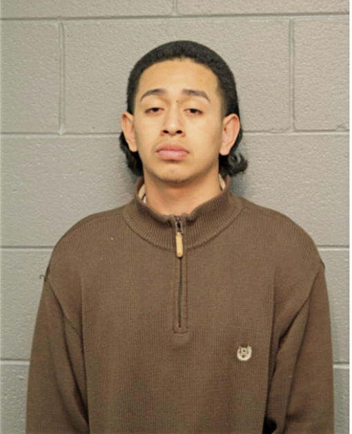 ANIBEL HERNANDEZ, Cook County, Illinois
