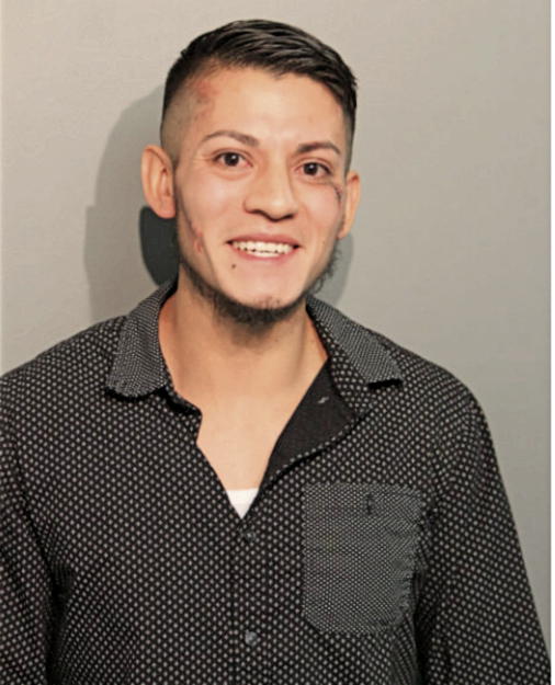 LEONEL O HERNANDEZ, Cook County, Illinois