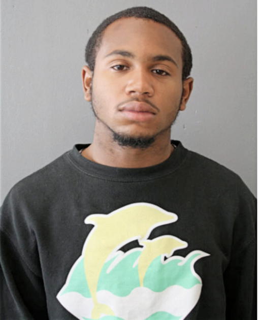 NATHAN L HILL, Cook County, Illinois