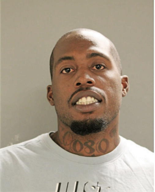 EVERETT A JOHNSON, Cook County, Illinois