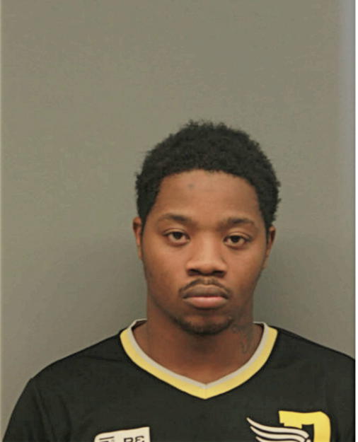 DAVID K LEE, Cook County, Illinois