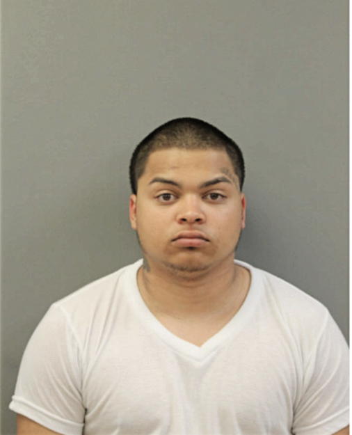 WILLIAM MALDONADO, Cook County, Illinois