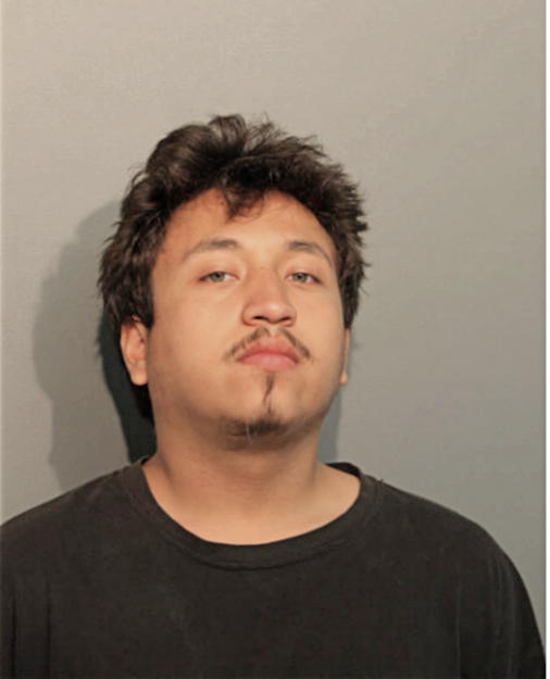 DAVID NAVARRO, Cook County, Illinois