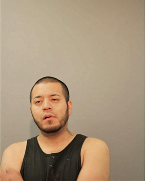 DANIEL ORTIZ-ESTRADA, Cook County, Illinois