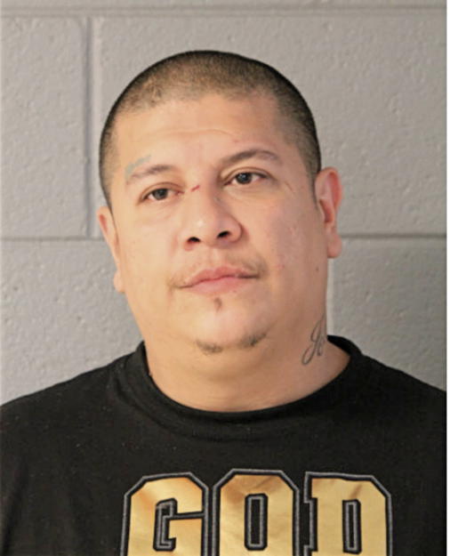JOSE R PALOMAR, Cook County, Illinois