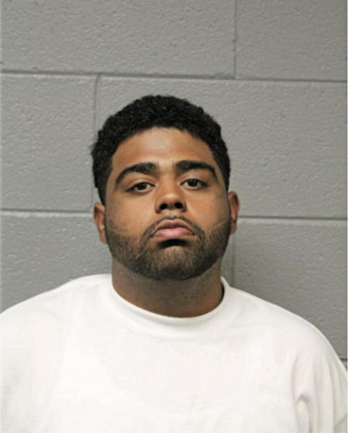 JOSHUA R PATITUCCI, Cook County, Illinois
