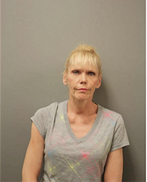 DAWN M RIZZO, Cook County, Illinois